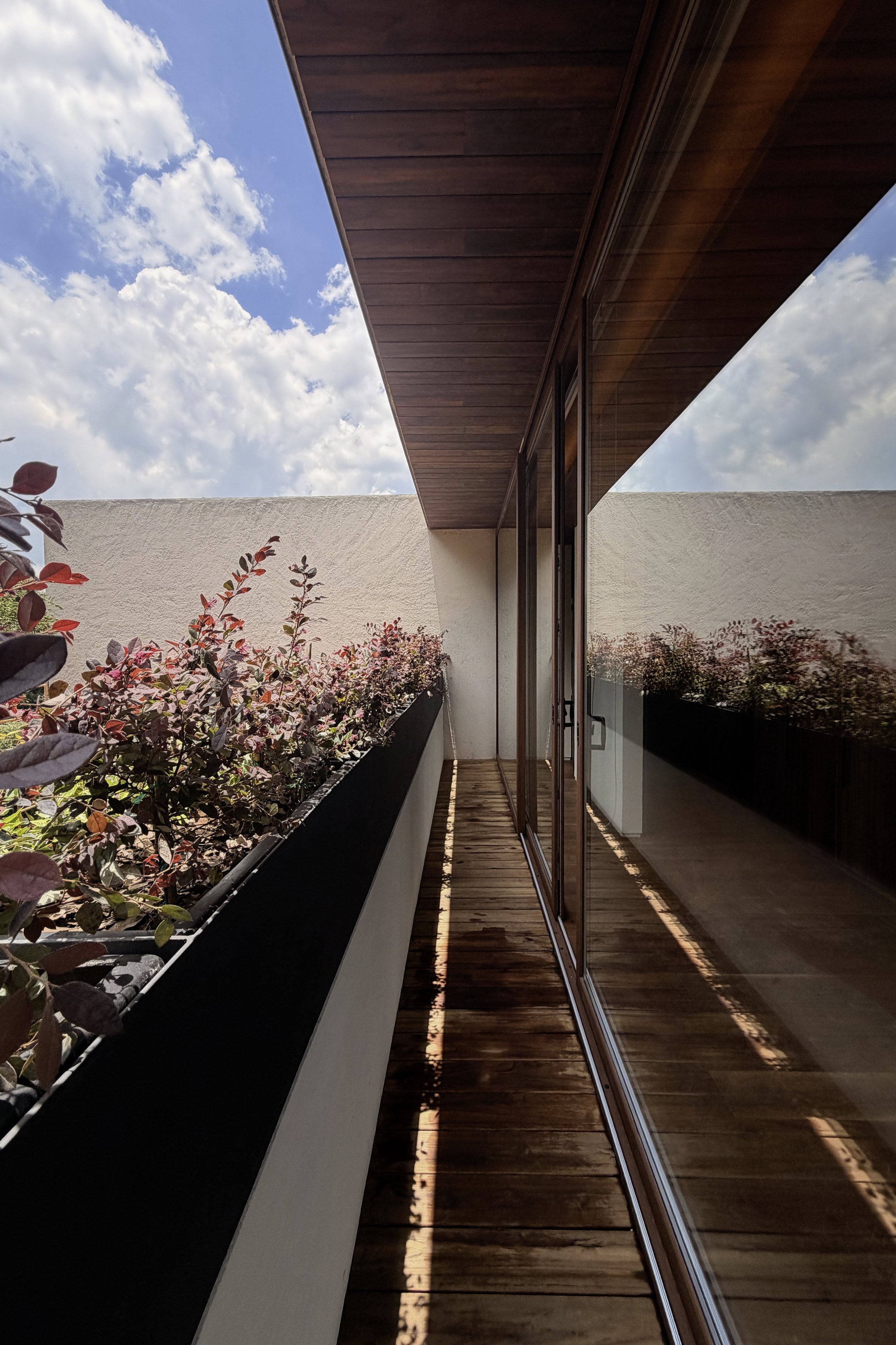 Paso de la azotea entre la jardinera y el muro