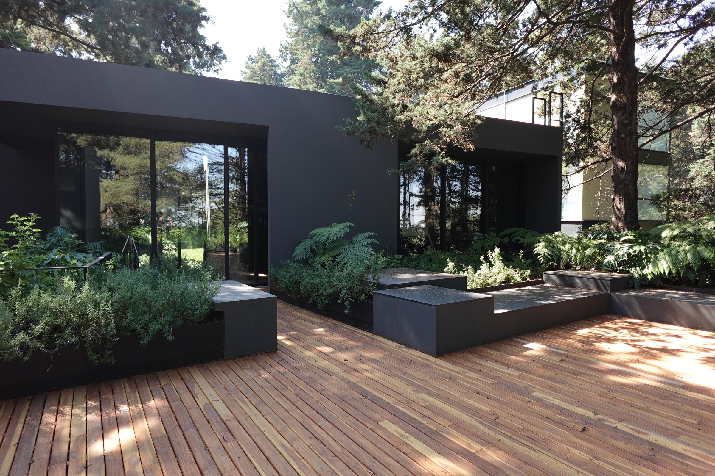 La terraza de madera con las jardineras, abierta al bosque