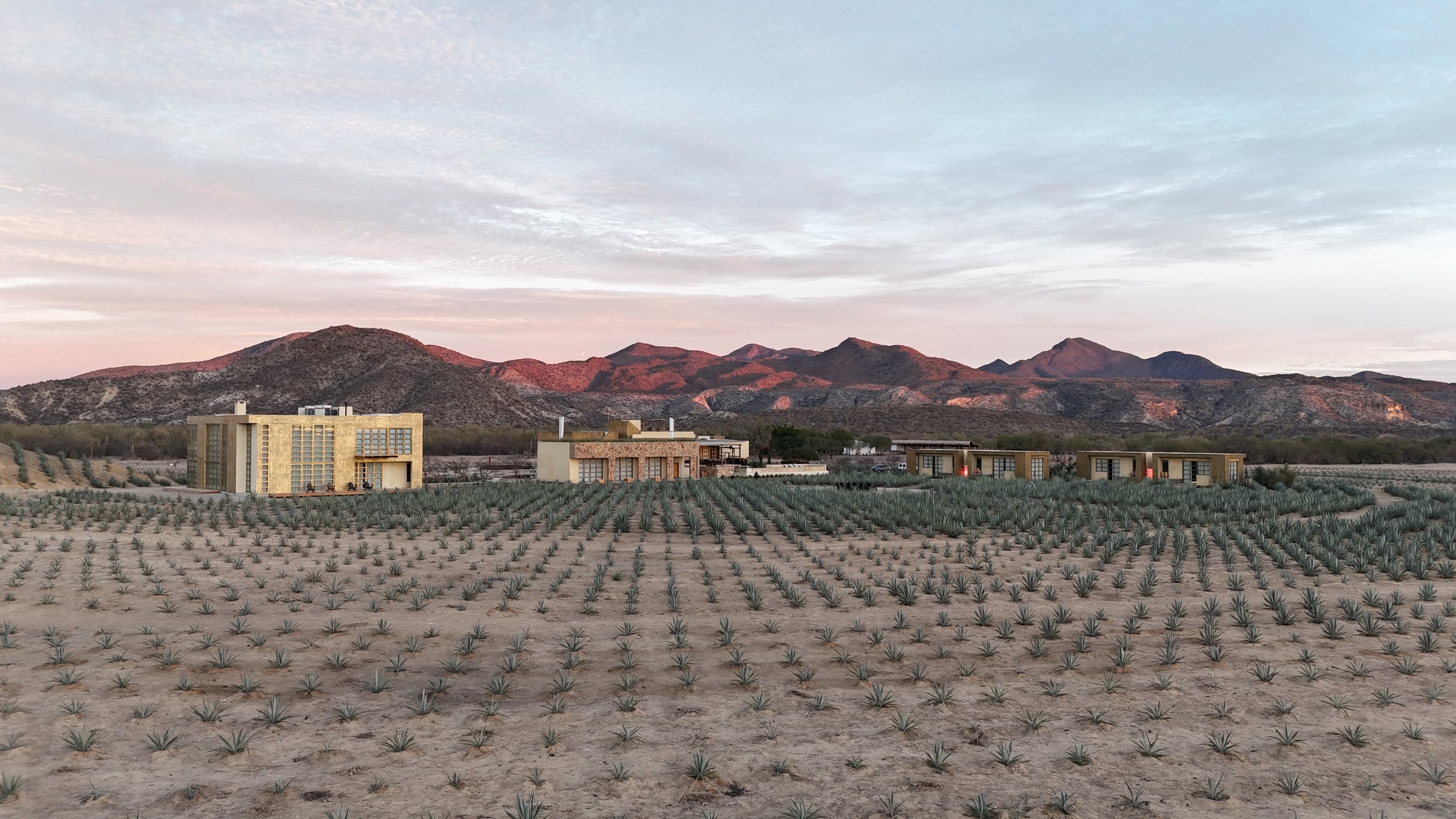 El conjunto y los círculos de agave, con la Giganta al fondo