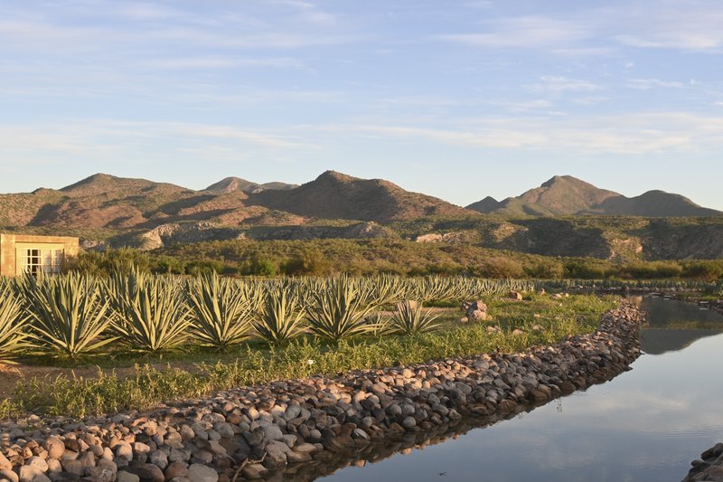 El canal de agua entre el agave y la sierra